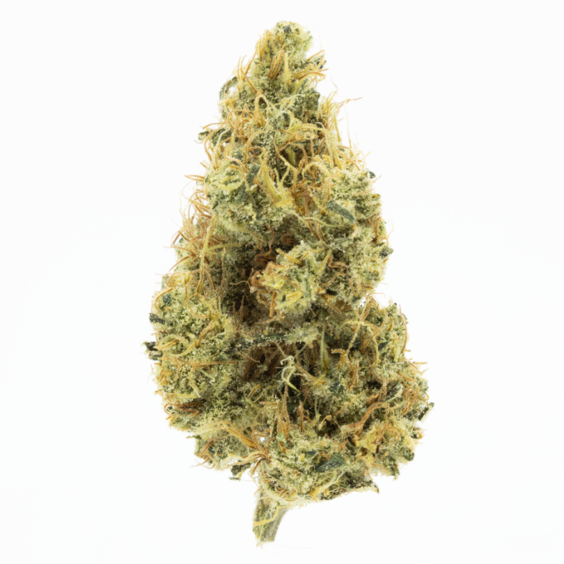 Dutch Treat