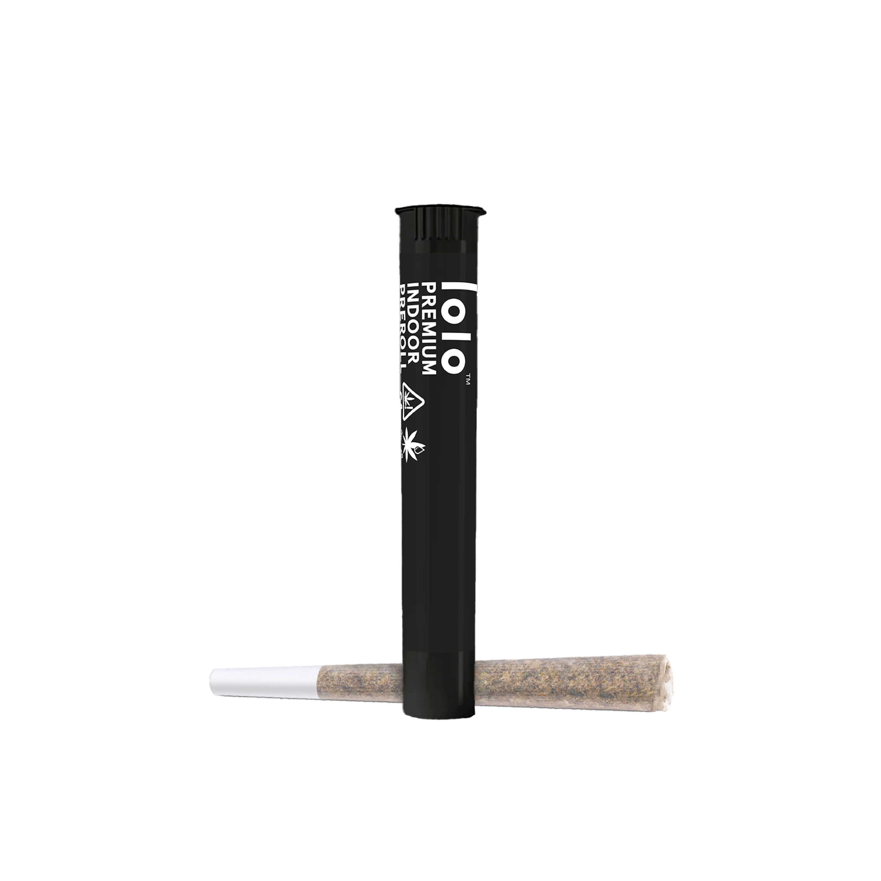 Kashmir X Afghani - Hash Infused